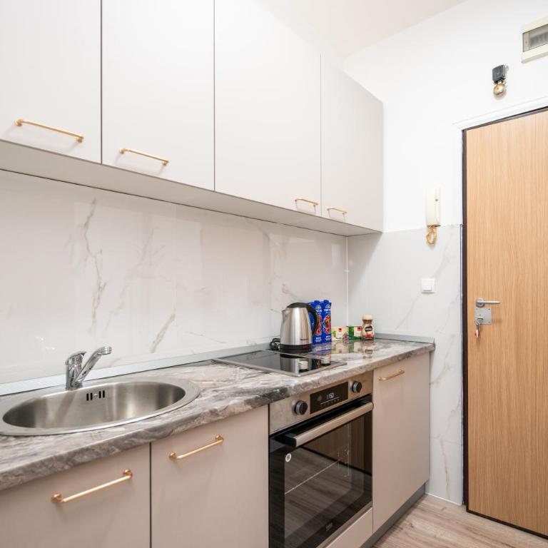 Park View Studio in City Center - One-Bedroom Apartment - 9