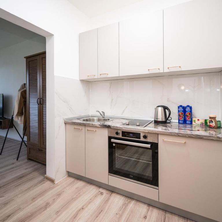 Park View Studio in City Center - One-Bedroom Apartment - 10