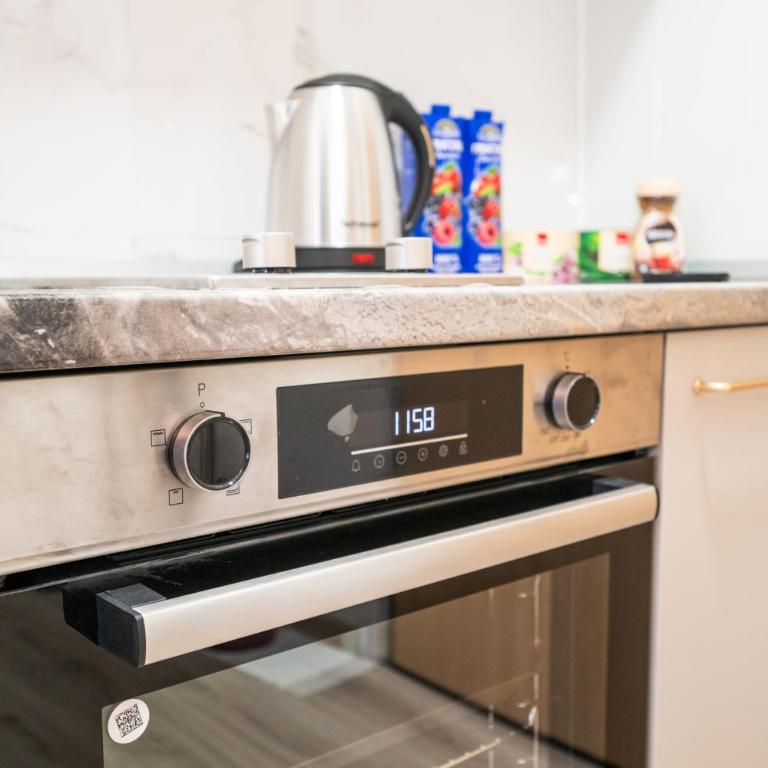 Park View Studio in City Center - One-Bedroom Apartment - 23