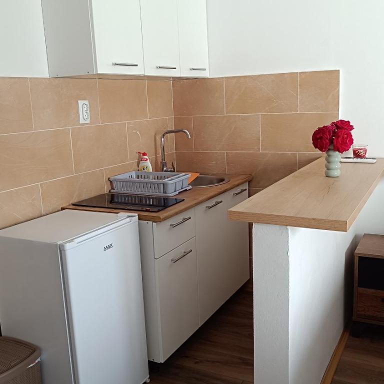 Apartmani Maša - One-Bedroom Apartment - 5