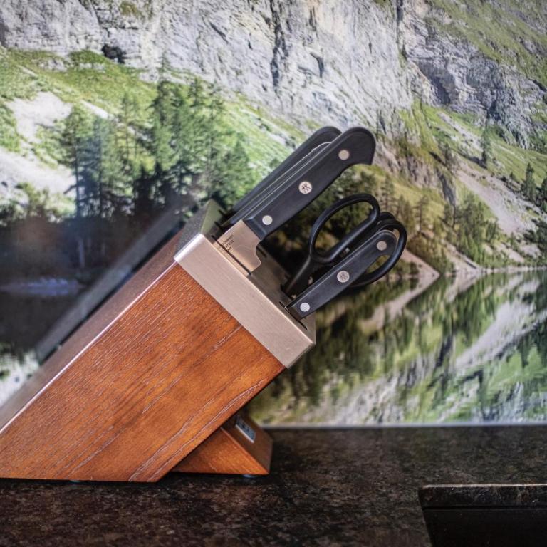 Dachstein Chalet - Apartment mit Blick auf die Berge - 21