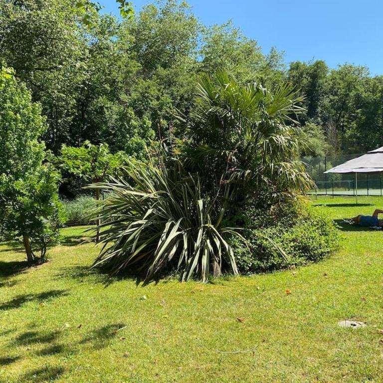Superbe T3 lumineux sur parc arboré avec piscine - Appartement 2 Chambres - 12