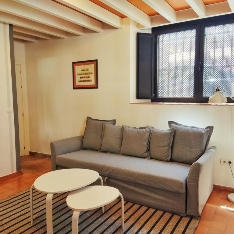 PRECIOSO LOFT en PALACIO DE GODOY - Apartment - 4