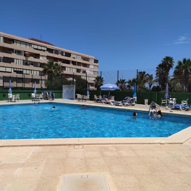 Fantastic Seaview - Apartamento de 1 dormitorio - 23