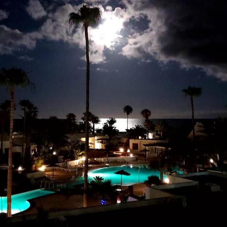 Luxury Ocean View Playa Roca - Apartamento de 1 dormitorio - 36