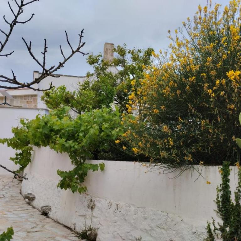 Le Terrazze Della Crianza - Villa con Piscina Privata - 8