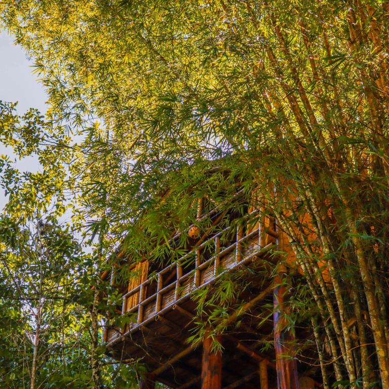 Glamping Río Claro - Habitación Doble Deluxe con balcón - 2