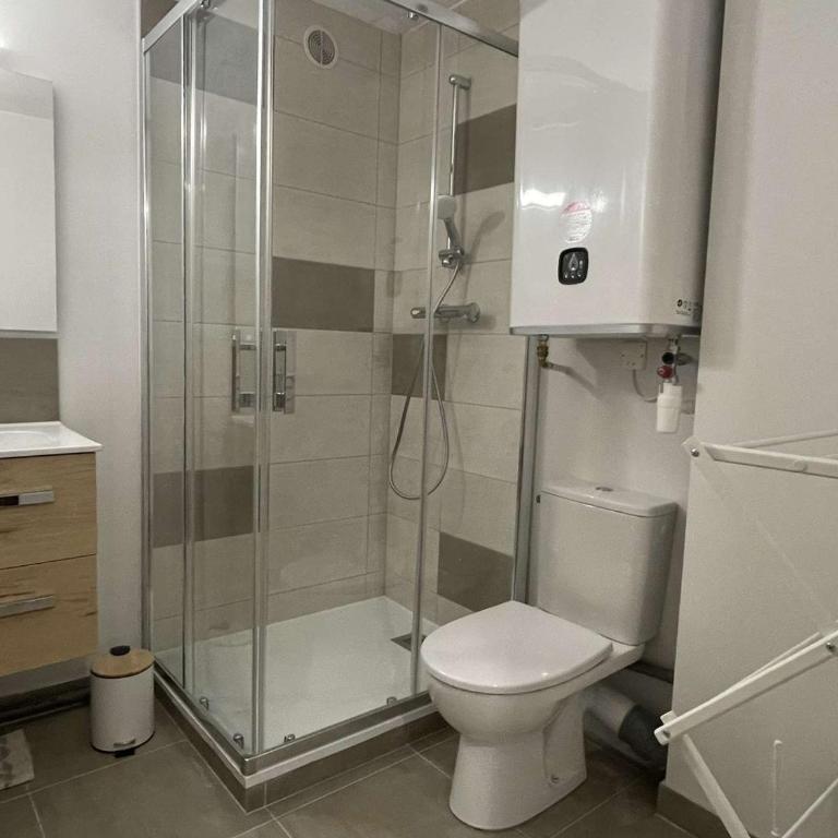Charmant studio à Praz-Sur-Arly pour 5 pers. proche ski et lac, parking et casier à ski inclus - Appartement 1 Chambre - 12