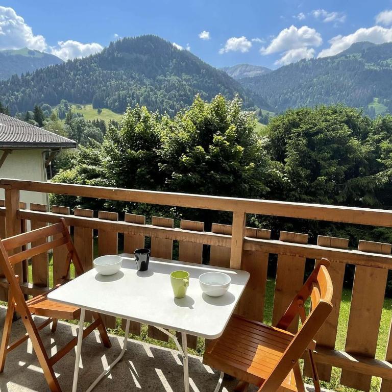 Charmant studio à Praz-Sur-Arly pour 5 pers. proche ski et lac, parking et casier à ski inclus - Appartement 1 Chambre - 15