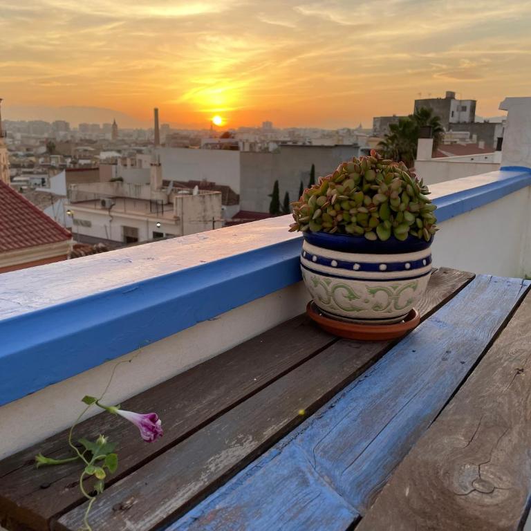 Charming home with private terrace,heart of Málaga - One-Bedroom Apartment - 20