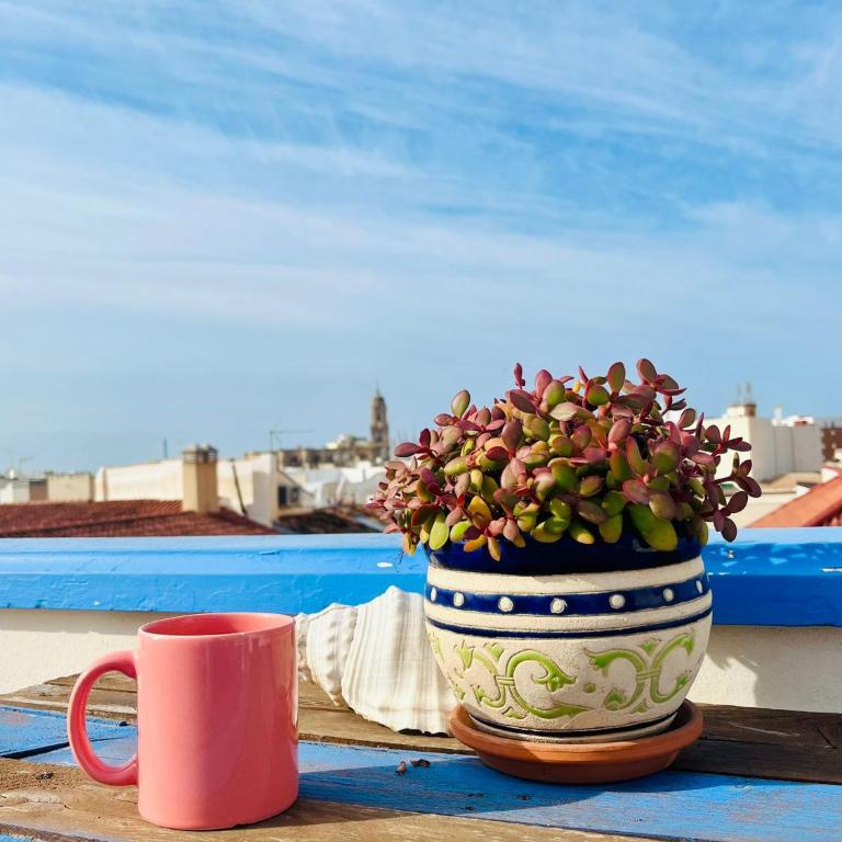 Charming home with private terrace,heart of Málaga - One-Bedroom Apartment - 8