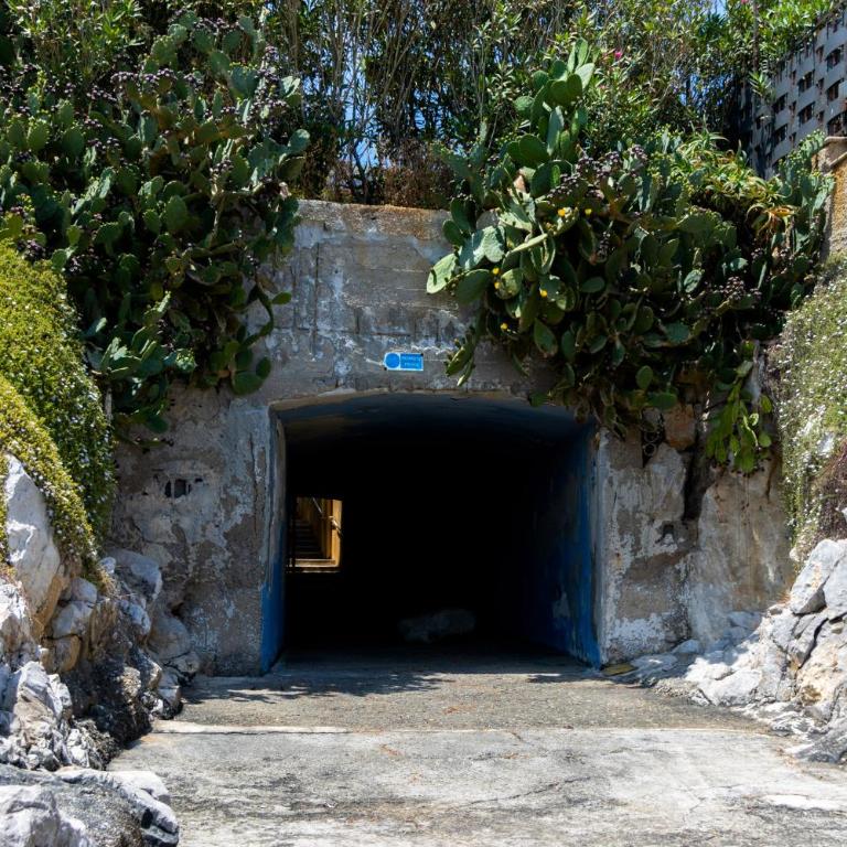 Appartamento Ashur Mondello - Apartment - 16