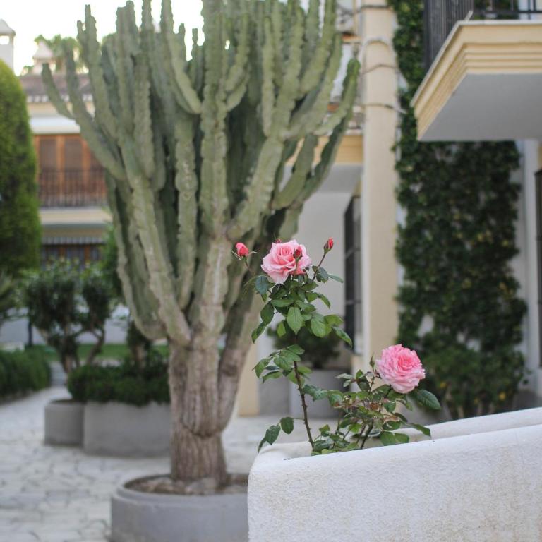 Casa del Mar Vera Costa - Apartamento de 1 dormitorio - 49