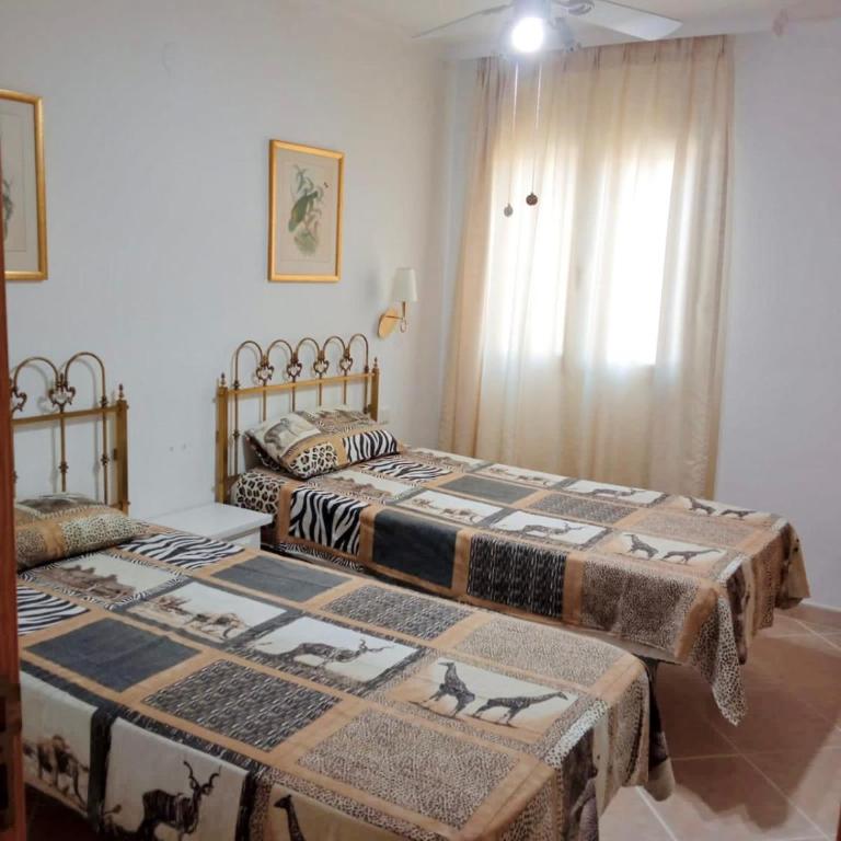 Apartamento Urb La Felicidad - Apartamento de 2 dormitorios - 5