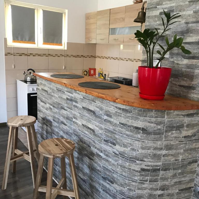 Pocanic's apartment - Apartman sa 2 Spavaće Sobe - 2