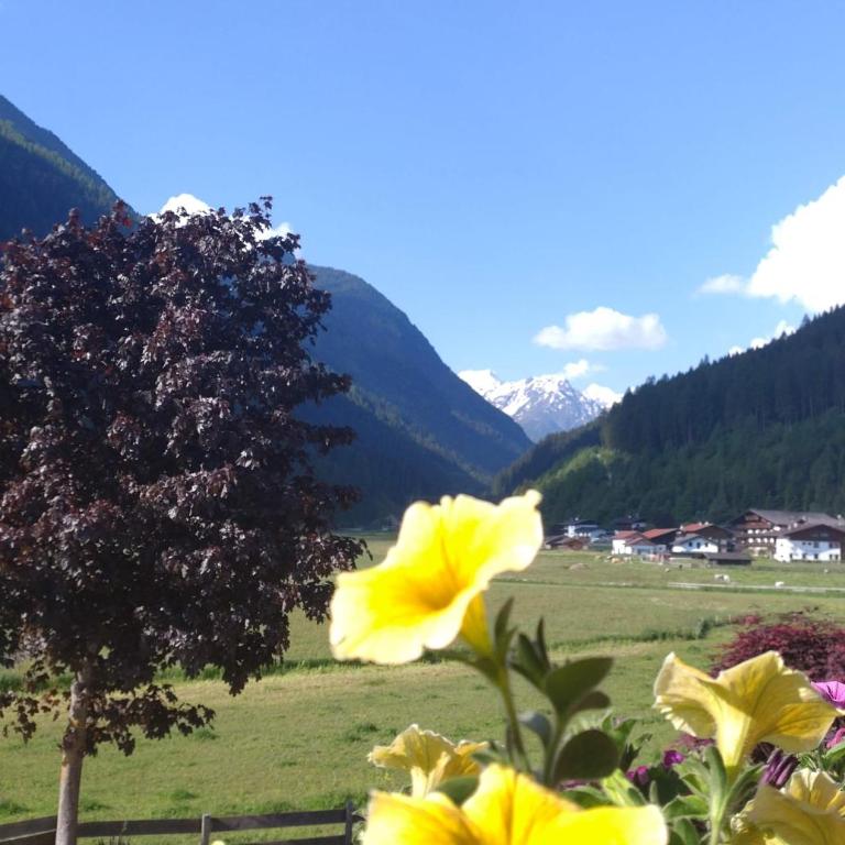 Landhaus Susanne - Apartment mit 3 Schlafzimmern - 6