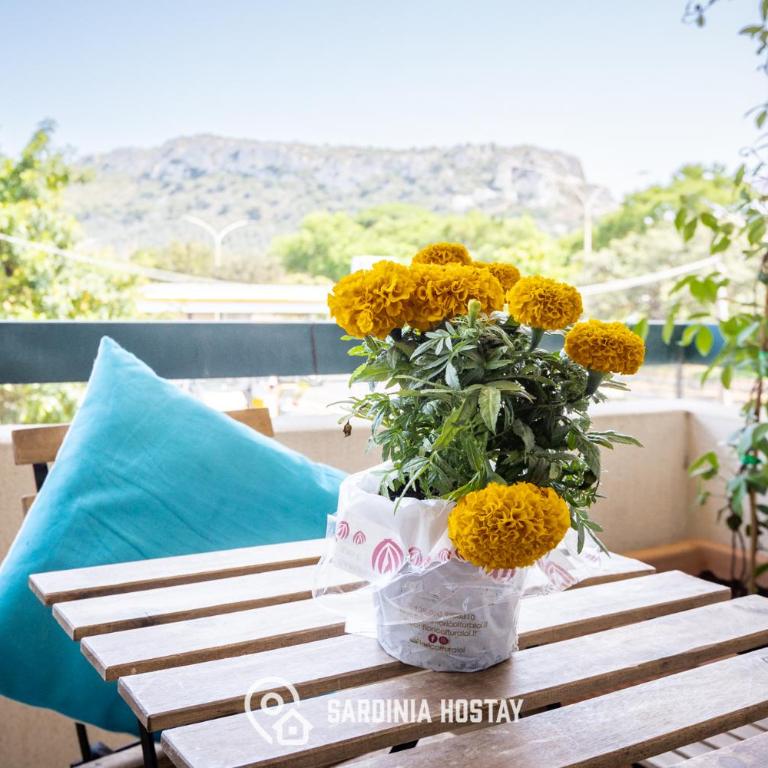 La Sella Apartment - Appartamento con 2 Camere da Letto - 23
