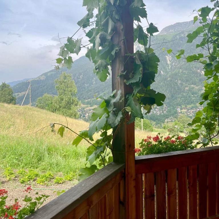 BerglandHof Hotel Ernen - Doppelzimmer mit Balkon - 1