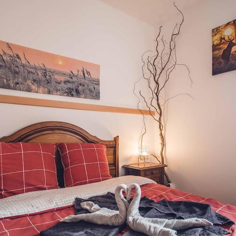 Studio cosy proche centre-ville et gare - Apartment mit 1 Schlafzimmer - 5