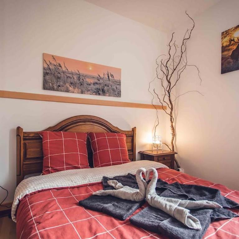 Studio cosy proche centre-ville et gare - Apartment mit 1 Schlafzimmer - 1