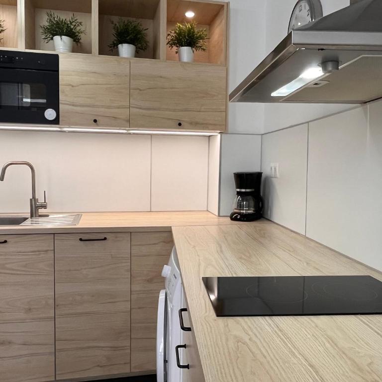 MALAGA CENTRO CATEDRAL - Apartamento de 1 dormitorio - 3