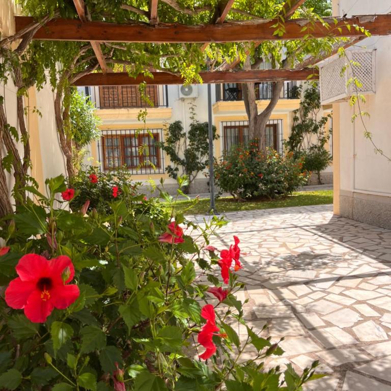 Casa de Catalina en Vera Coast - Apartamento de 1 dormitorio - 25