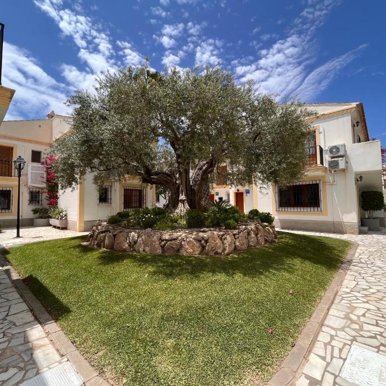 Casa de Beatriz Vera Costa bajo - Apartamento de 1 dormitorio - 19
