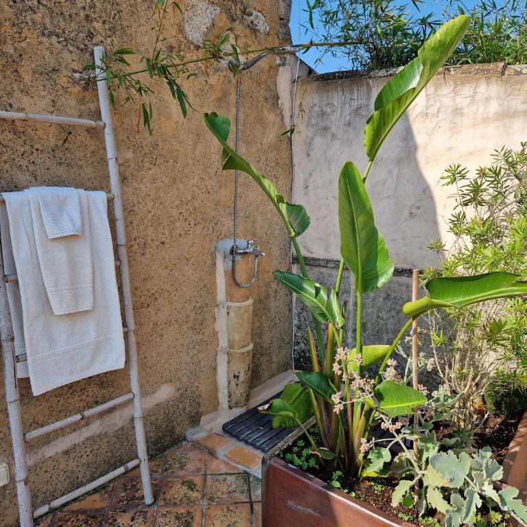 Las Fincas de Annie - Villa - 21