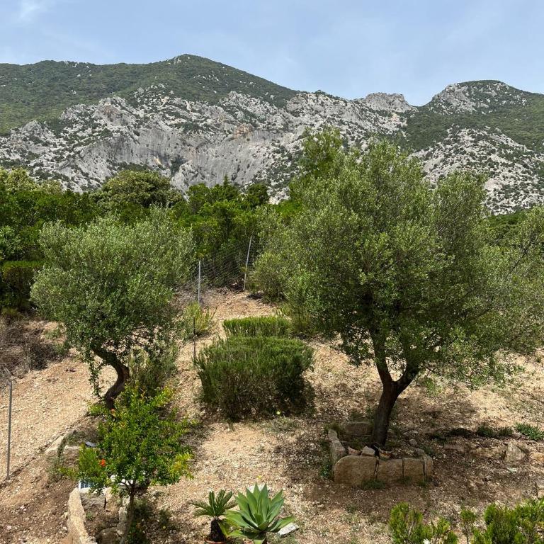 Casa Mare e Sole IUN R2610 - Appartamento con 2 Camere da Letto - 65
