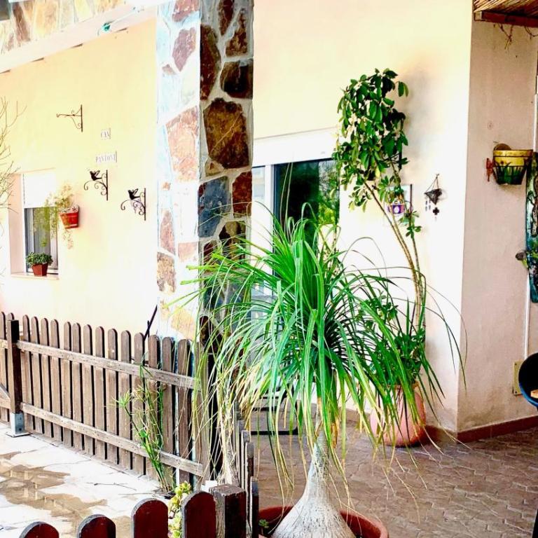 Can Pantoni piscina privada - Vacation Home - 28