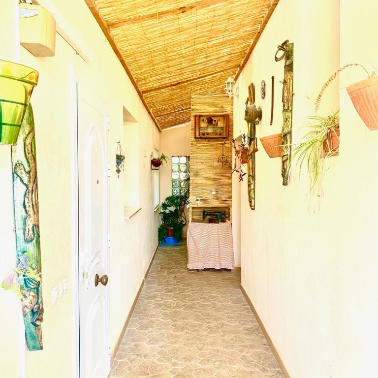 Can Pantoni piscina privada - Vacation Home - 27