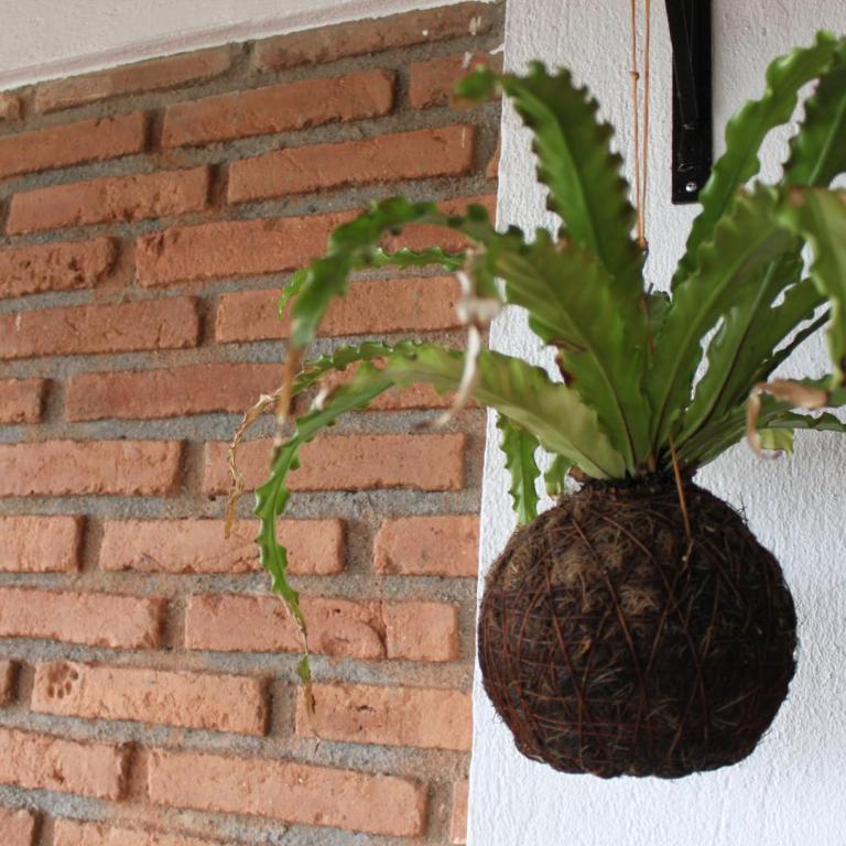 Mesa De los Santos, Balcones De los Santos Cabaña Lounge Eugenia - Casa de 2 dormitorios - 24