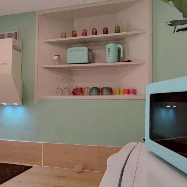 Le Costa Rica - Grand appartement centre ville - One-Bedroom Apartment - 10