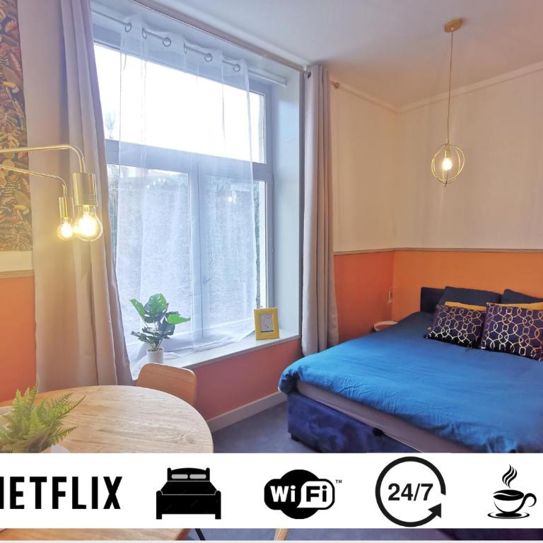 Le Costa Rica - Grand appartement centre ville - One-Bedroom Apartment - 1