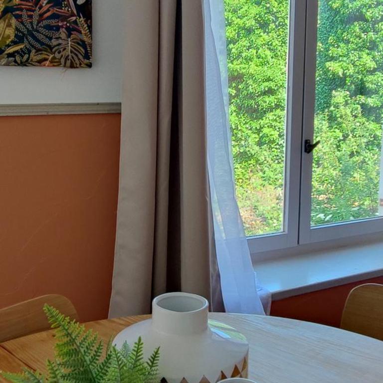 Le Costa Rica - Grand appartement centre ville - One-Bedroom Apartment - 5