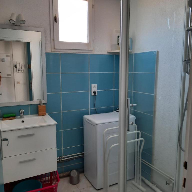 Joli T2 38 m2 rénové idéalement situé - One-Bedroom Apartment - 3