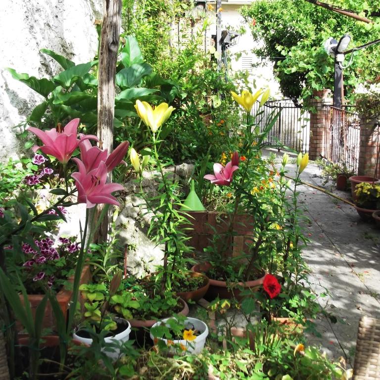 Le Mimose - Casa Vacanze - 54