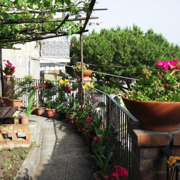 Le Mimose - Casa Vacanze - 56