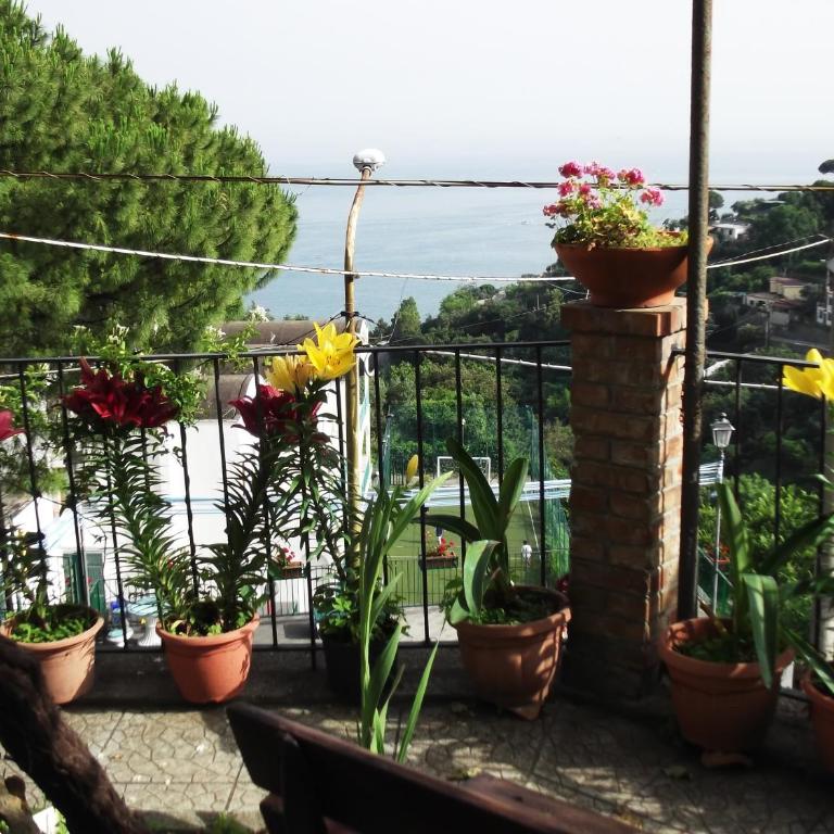 Le Mimose - Casa Vacanze - 57