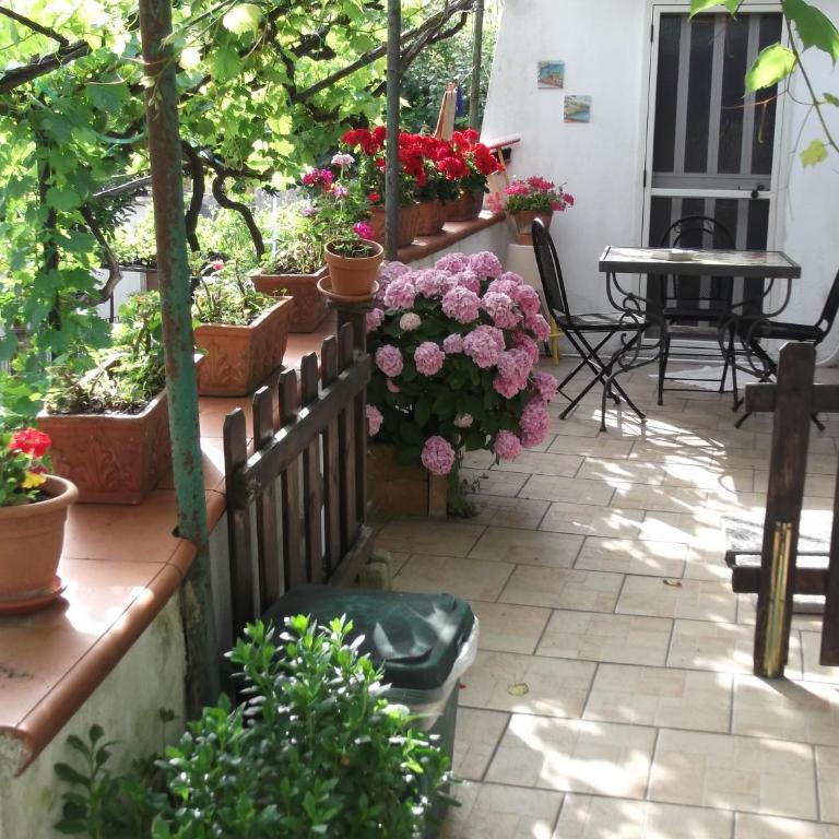 Le Mimose - Casa Vacanze - 61