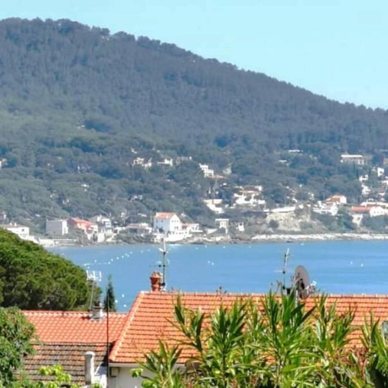 Proche de la plage les hauts du port - Appartement 1 Chambre - 1