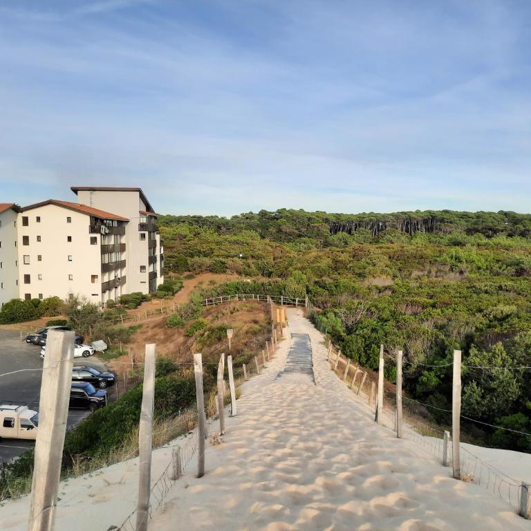 Joli T2 38 m2 rénové idéalement situé - One-Bedroom Apartment - 8