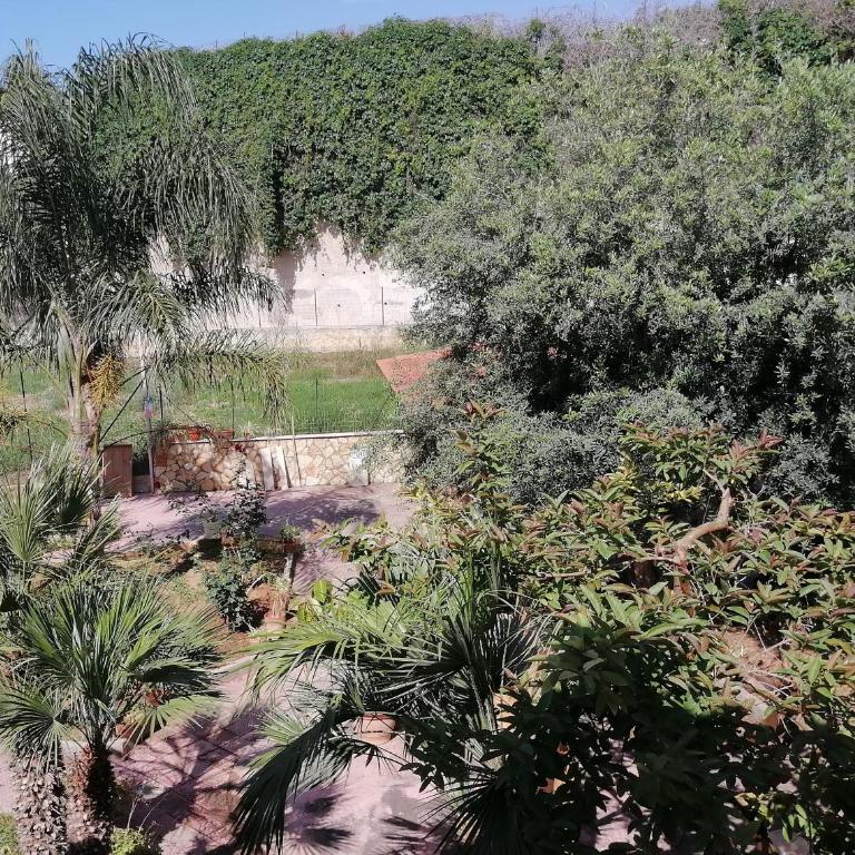 Residence Mare Azzurro - Casa con 2 Camere da Letto - 1