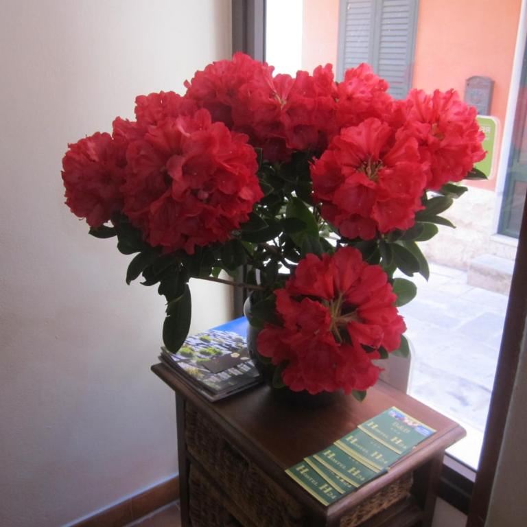Bed & Breakfast Hostel H24 - Camera Quadrupla - 1