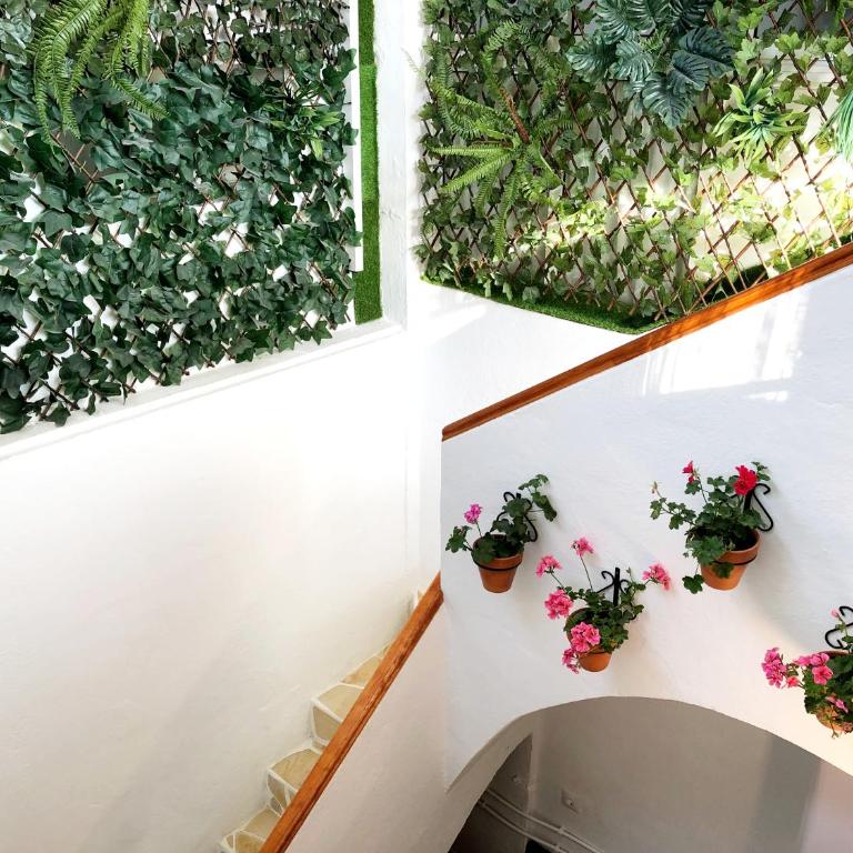 Adosado Las Flores - Casa de 2 dormitorios - 35