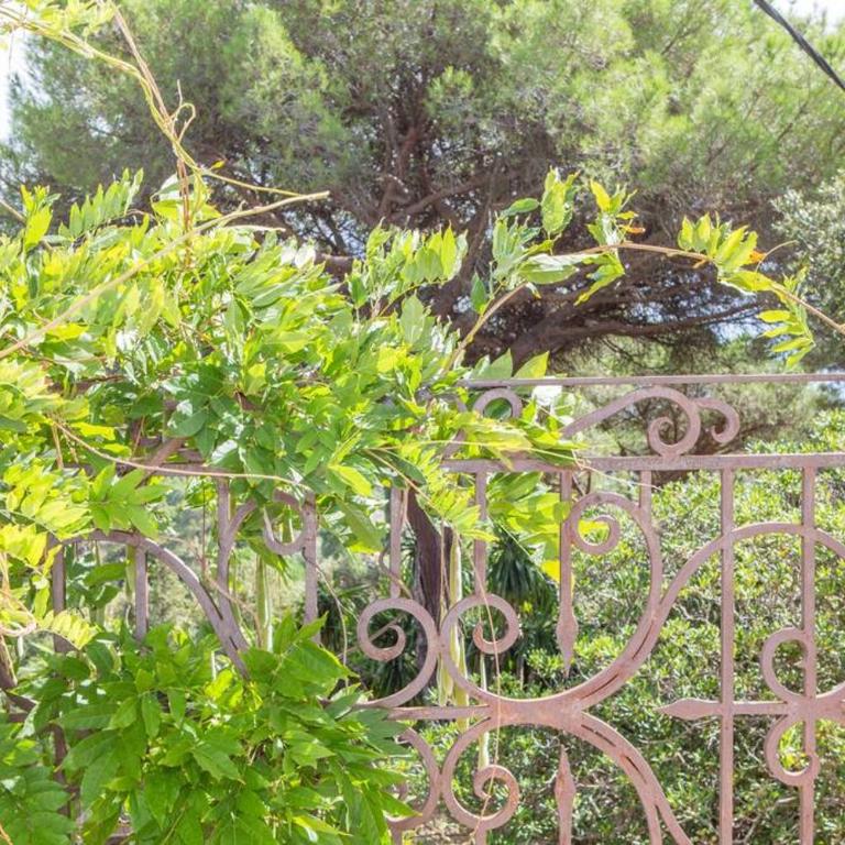 Villa Provençale avec 2 maisons d'amis ,piscine ,Jacuzzi ,vue mer - Villa - 37