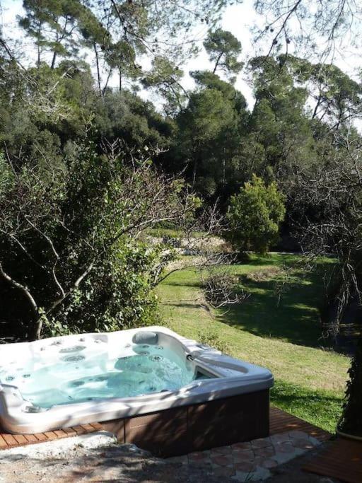 Villa Provençale avec 2 maisons d'amis ,piscine ,Jacuzzi ,vue mer - Villa - 29