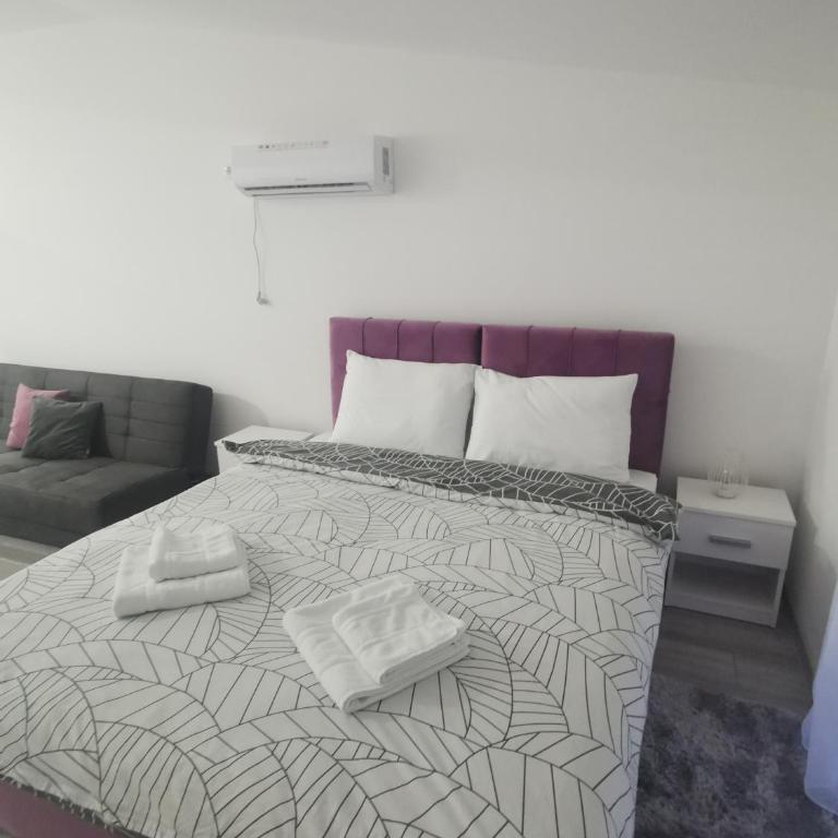 Studio apartmani Banja Koviljaca - Studio - 4