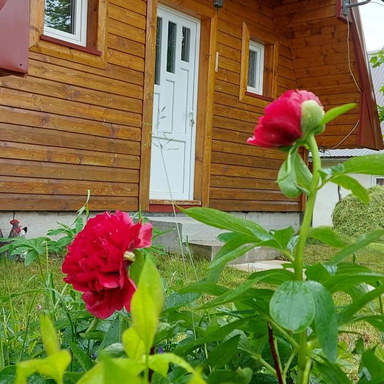 Vila Šarigora - Two-Bedroom House - 9