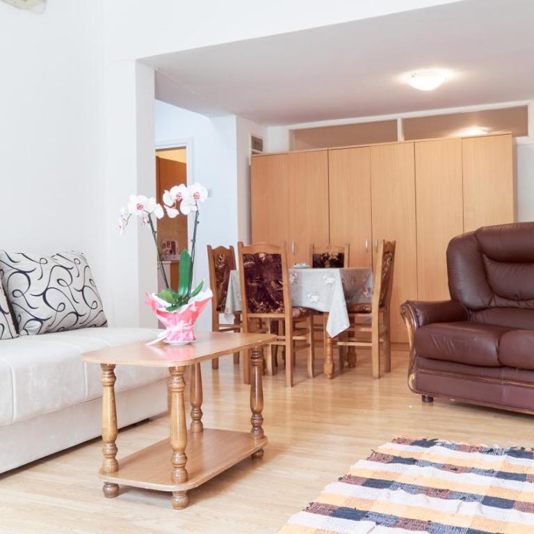 Janković Apartmani u centru - Apartman sa 1 Spavaćom Sobom - 1